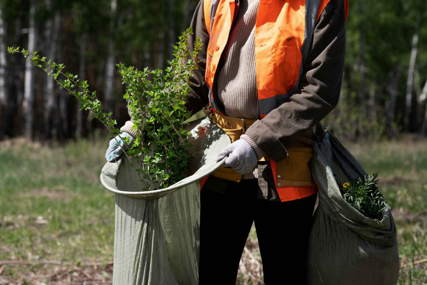 Best Commercial Tree Services  in Country Club Hills, MO